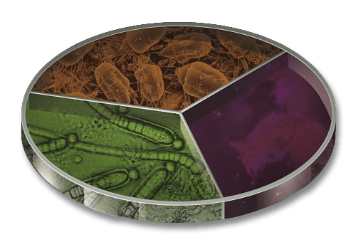 pie-chart-dish-air-purification