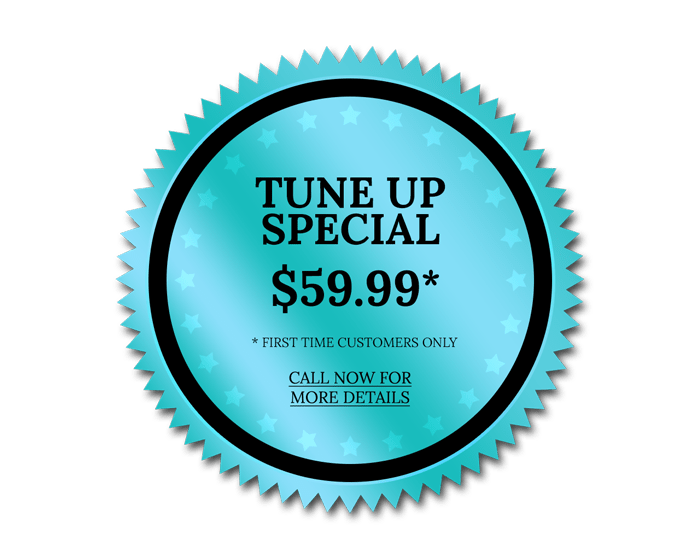 Tune up special