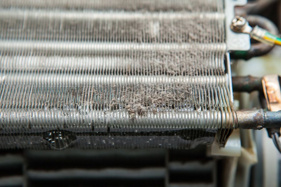 dirty-coils-needing-ac-maintenance-fort-lauderdale AC Repair in Coral Springs, Plantation FL, Deerfield Beach
